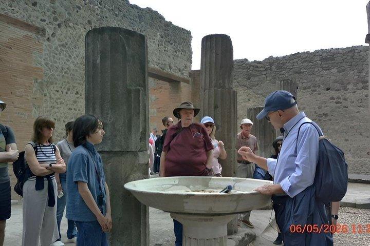 Pompeii Express Guided Tour by Train from Sorrento