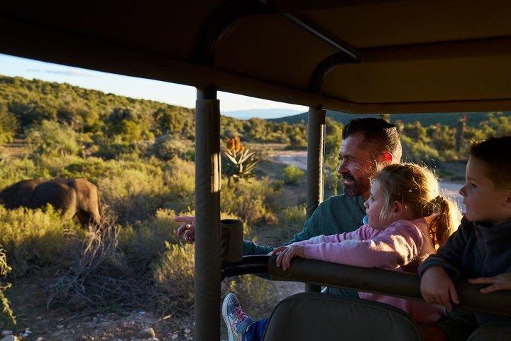 Bush Safari