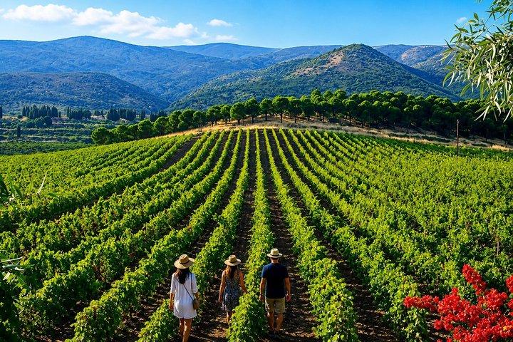 Private Jeita Grotto, Harissa & Ixsir Winery Tour | From Beirut