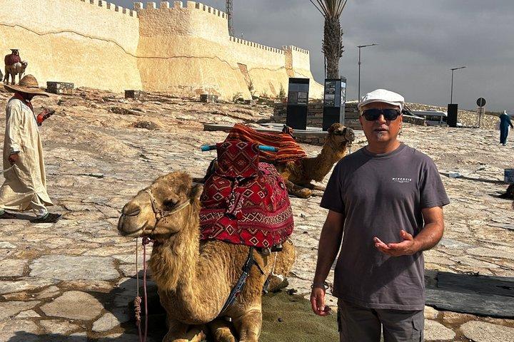 Agadir City Tour with Kasbah Souk El Had and Marina