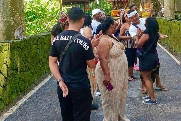 Ubud : Best of Bali Private Tour with Guide and All-Inclusive