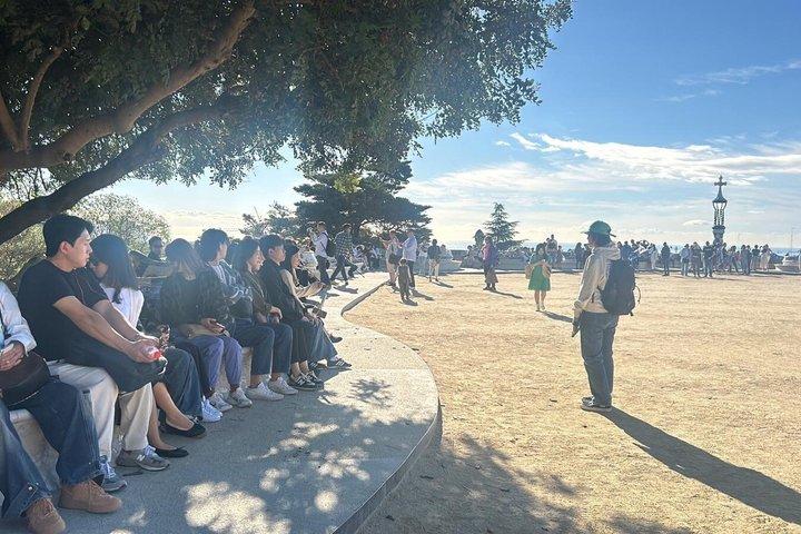Guided Tour of Guell Park with Priority Access in English