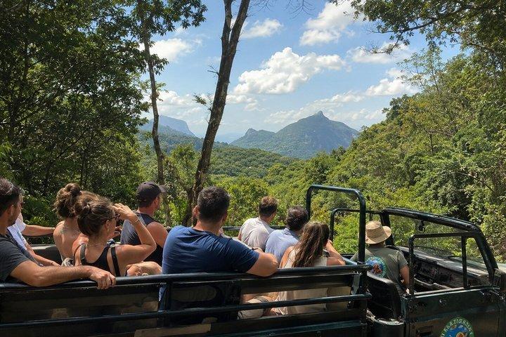Half-Day Jeep Tour in Rio's Tijuca Rainforest and Scenic