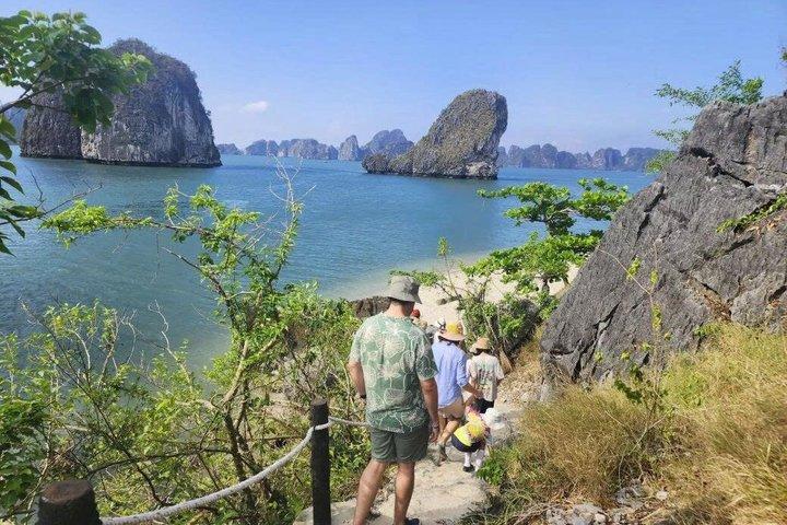 3-Day Boutique Treasure Junk Cruise through Bai Tu Long Bay