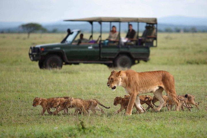 3 Day Private Luxury Masai Mara Safari Into the Wild in Style