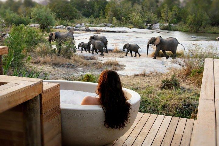 3 Day Private Luxury Masai Mara Safari Into the Wild in Style