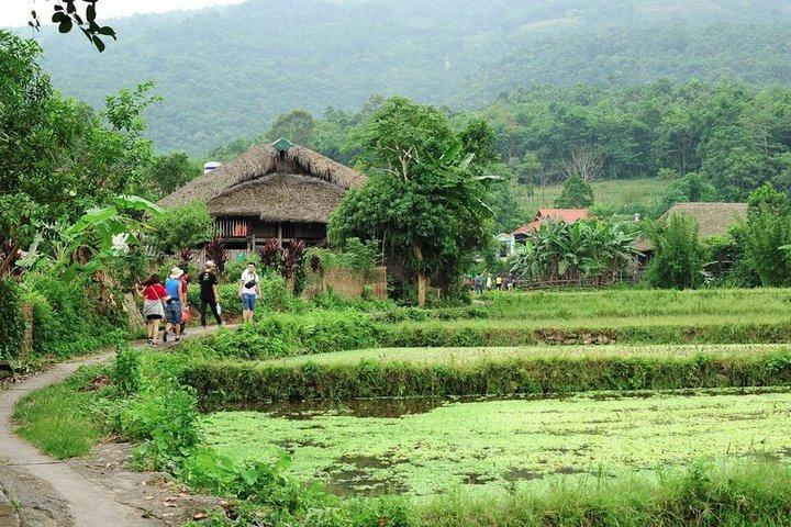 12 Day Mysteries of Northeast Vietnam Private Tour