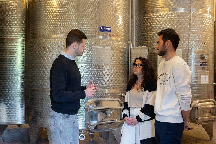 Discover Langhe wines with private tour and expert sommelier