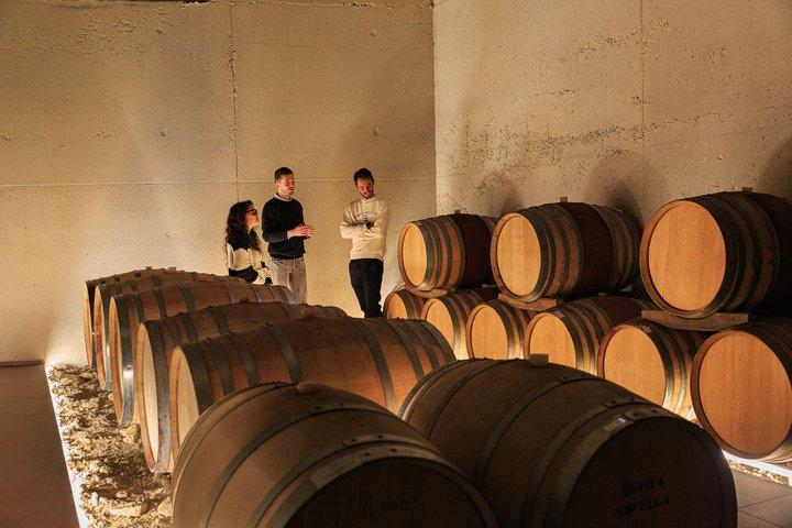 Discover Langhe wines with private tour and expert sommelier