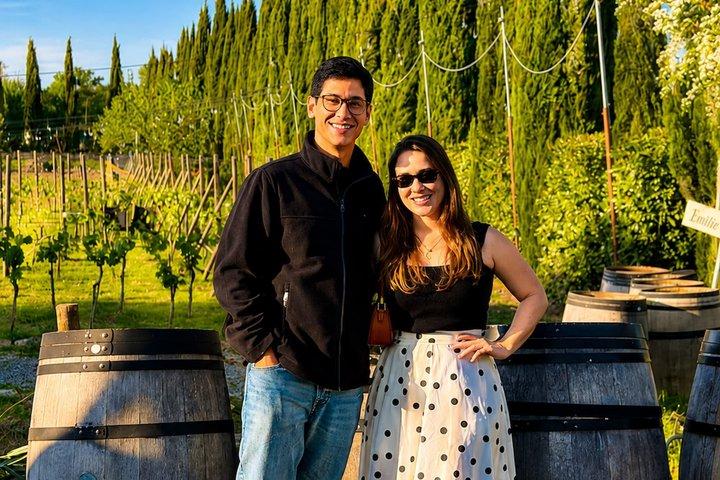 From Florence: Chianti Wine Experience with Tastings & Views