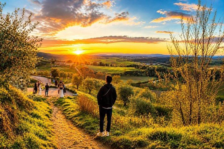 From Florence: Chianti Wine Experience with Tastings & Views