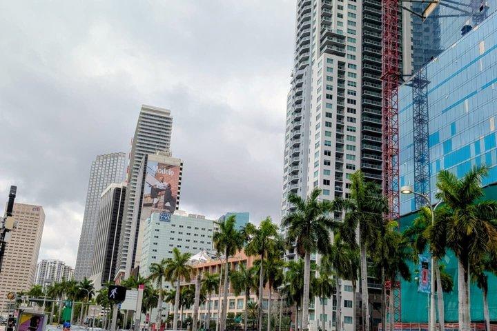 Miami City Tour with Little Havana and Wynwood Stops