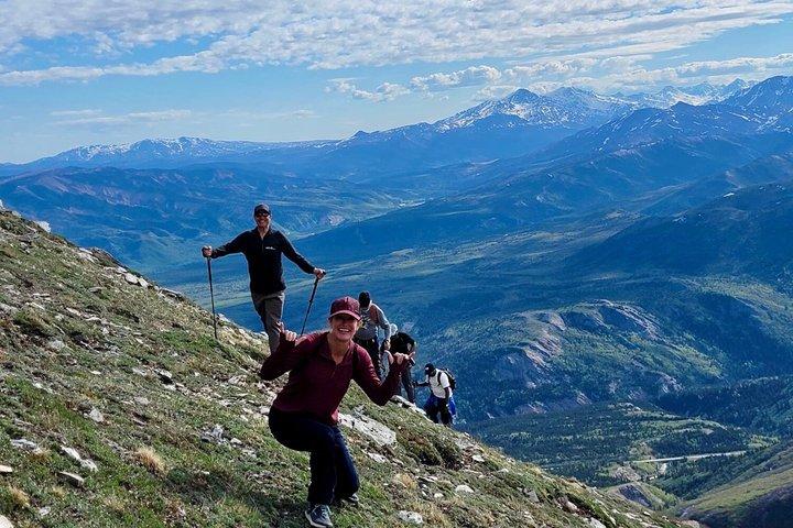 Denali 5 Hour Hiking Tour with Naturalist Guide