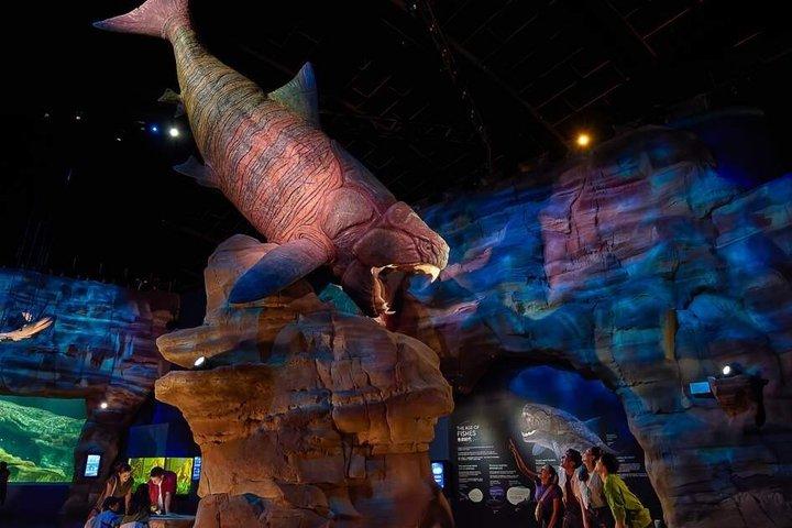 Singapore Oceanarium Admission Ticket