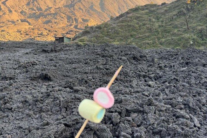 Pacaya Volcano Hike (half-day)
