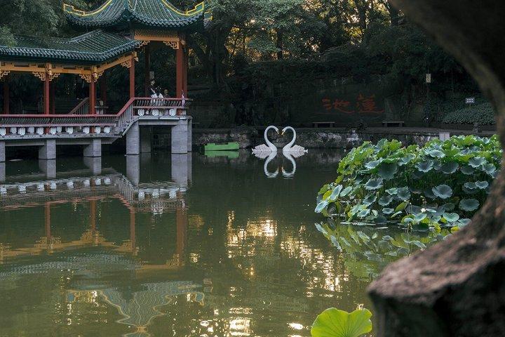 Chongqing Cyber City in 1 Day Private tour