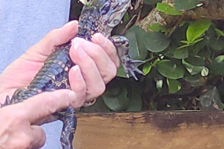 Everglades Airboat Eco Tour: Small group & 2 Private Islands