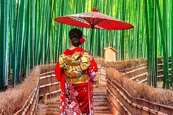 Kyoto and Nara Customized Day Tour with English Speaking Guide