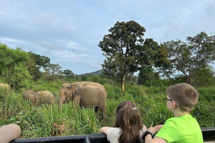 Minneriya National Park Jeep Safari Adventure