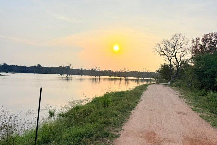 Minneriya National Park Jeep Safari Adventure