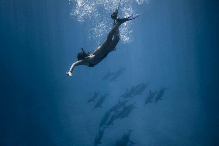 Zanzibar Dolphin Swim and Coral Snorkeling