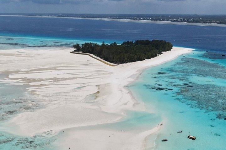 Zanzibar Dolphin Swim and Coral Snorkeling