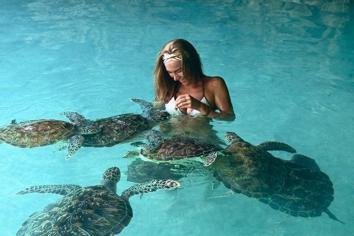 Jozani Forest Monkeys and Salaam Cave Turtles with Lunch