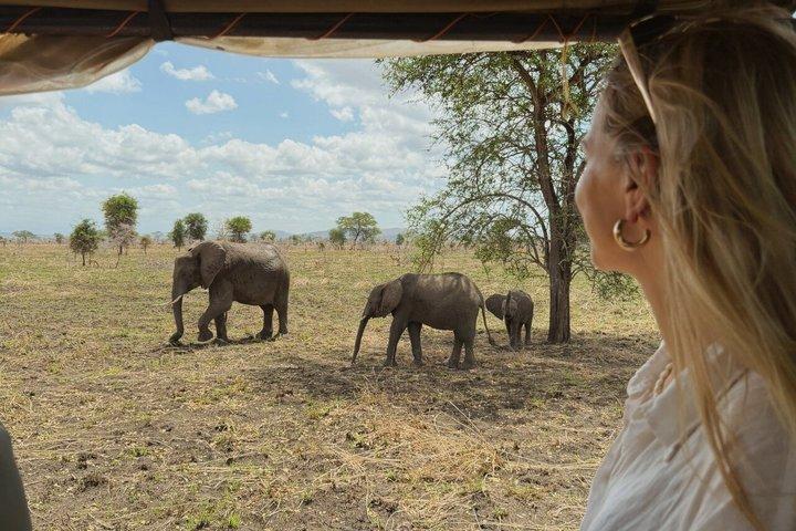 From Zanzibar: 1-Day Selous Safari with Flight & Lunch
