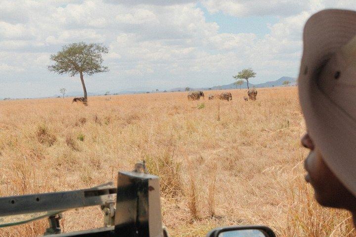 From Zanzibar: 1-Day Selous Safari with Flight & Lunch