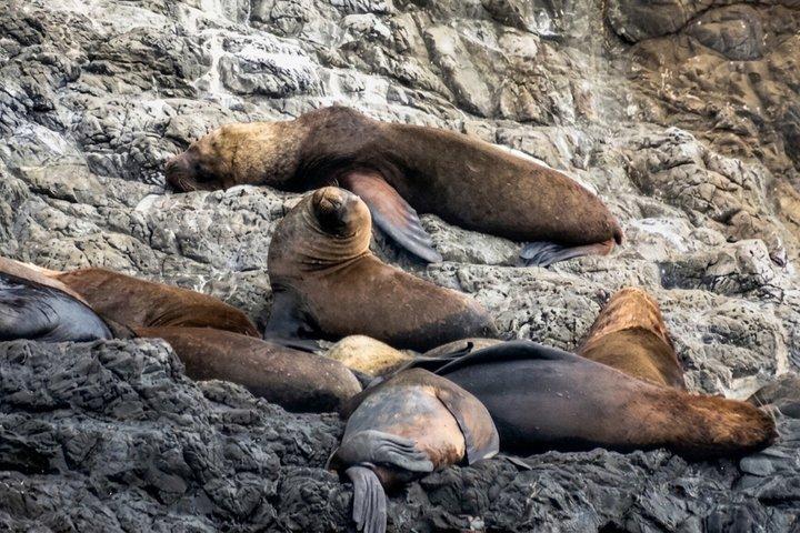 Full Day Isla Salango Snorkeling and Seabird Tour from Guayaquil
