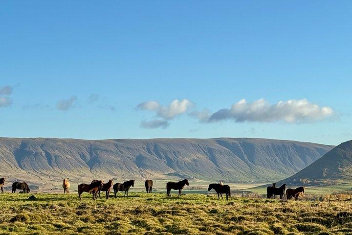 Private Golden Circle Tour from Reykjavik