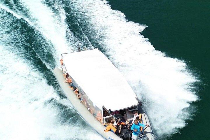 Regular transfer from Isla Grande (Abraão) x Rio de Janeiro