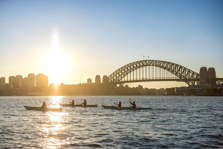 Ultimate Private Sea Kayaking Adventure on Sydney Harbour