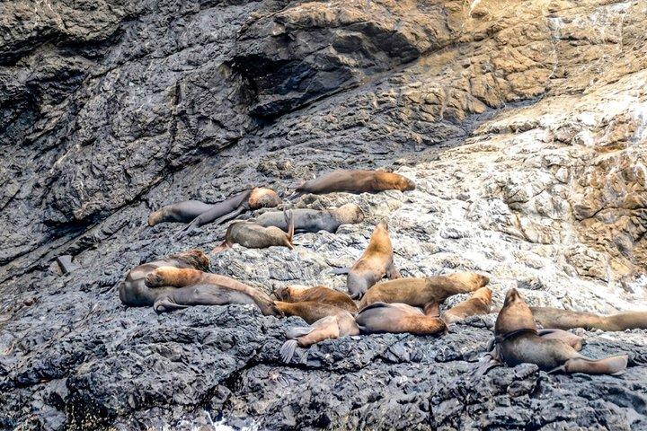 Full Day Isla Salango Snorkeling and Seabird Tour from Guayaquil