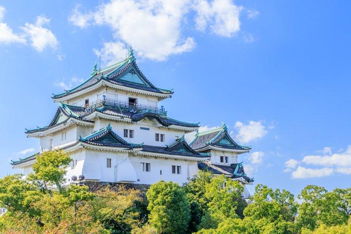 Wakayama Castle and Kuroshio Market 1 Day Tour
