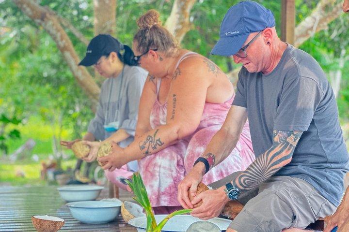 Koh Samui Elephant Sanctuary and Island Life Experience