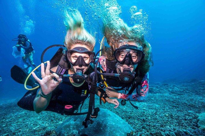 Scuba Diving Experience in Alanya With Lunch and 2 Dives