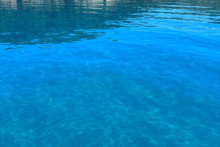 Daily Sailing Trip Around Elba Island