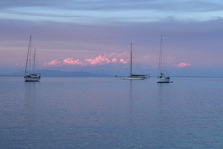 Daily Sailing Trip Around Elba Island