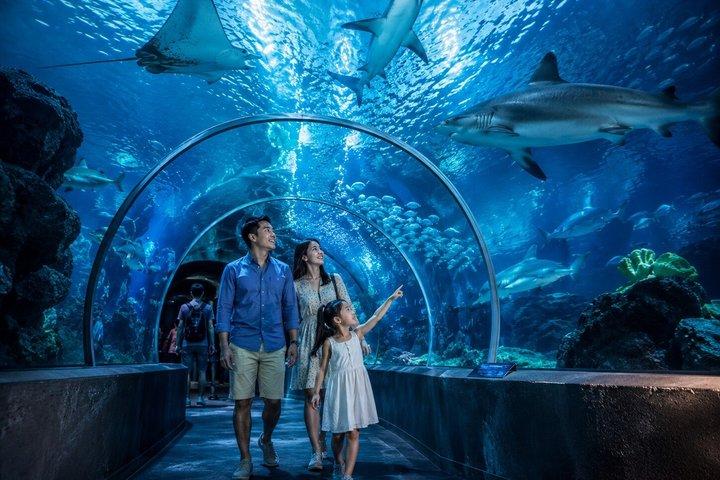 SEA LIFE Bangkok Ocean World Standard Admission Ticket