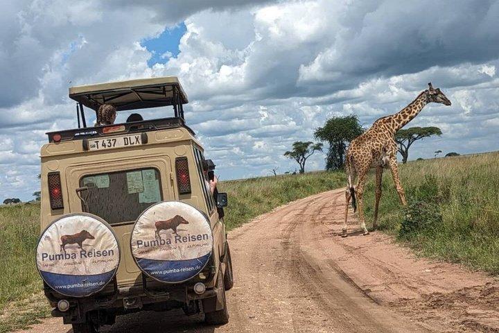 8 Days Cultural Tours and Wildlife Experience