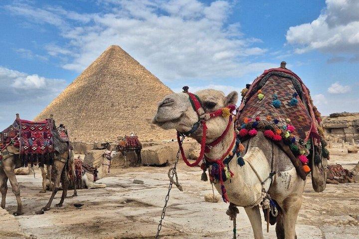 VIP Private Giza Pyramids Sphinx Camel Ride Inside Pyramid ,Lunch