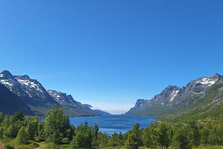 Tromsø: Arctic Nature & Fjords Small-Group Sightseeing Tour