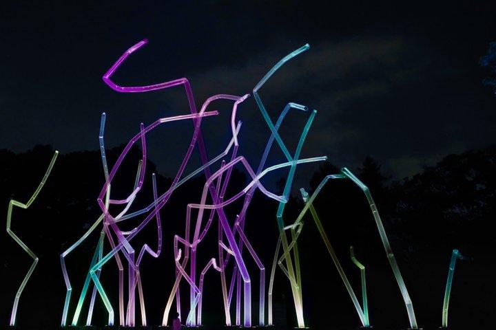 TeamLab Botanical Garden Osaka Night Art Experience