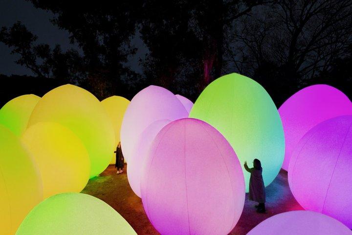 TeamLab Botanical Garden Osaka Night Art Experience