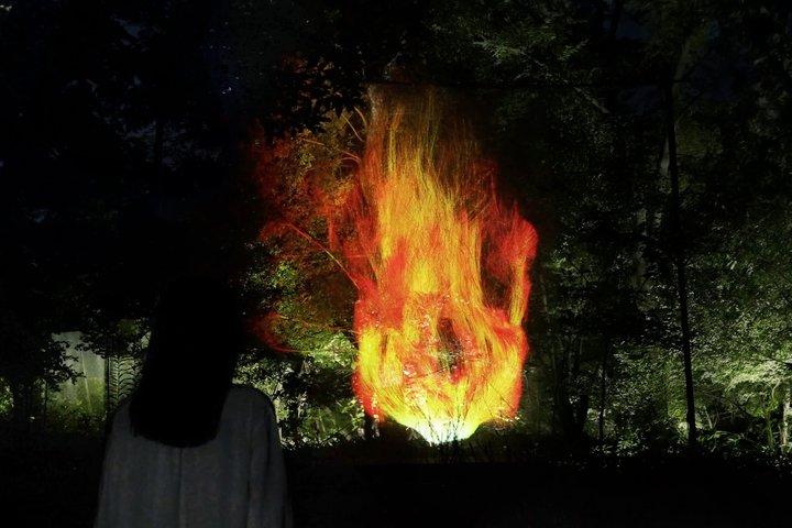 TeamLab Botanical Garden Osaka Night Art Experience