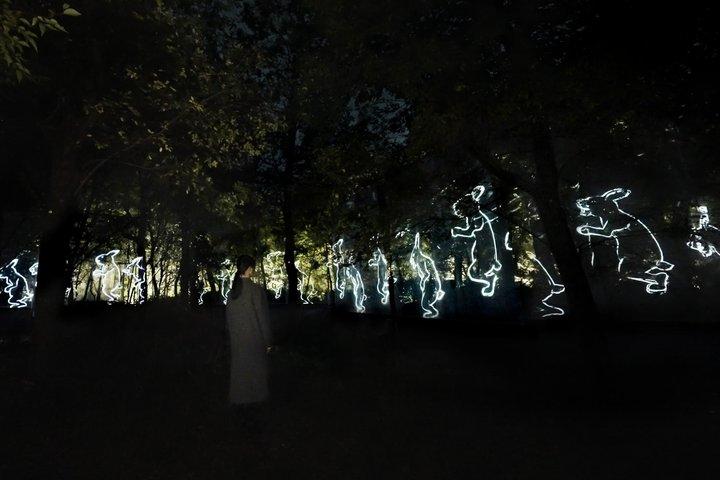 TeamLab Botanical Garden Osaka Night Art Experience
