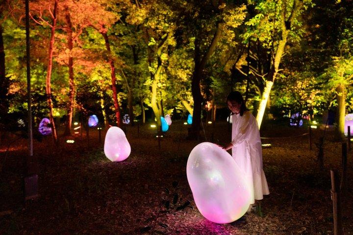 TeamLab Botanical Garden Osaka Night Art Experience