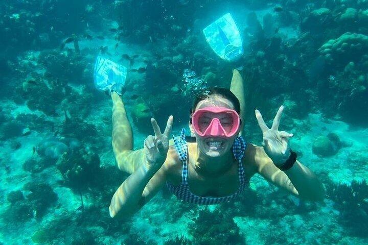 Catalina Island Snorkeling Tour with Lunch, Beach & Chavón River