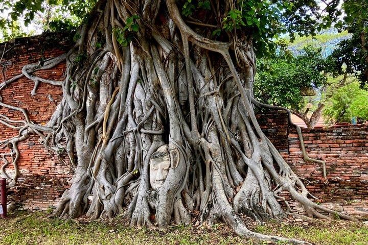 Definitive tour of 4 ancient capitals Ayutthaya ruins in Japanese 